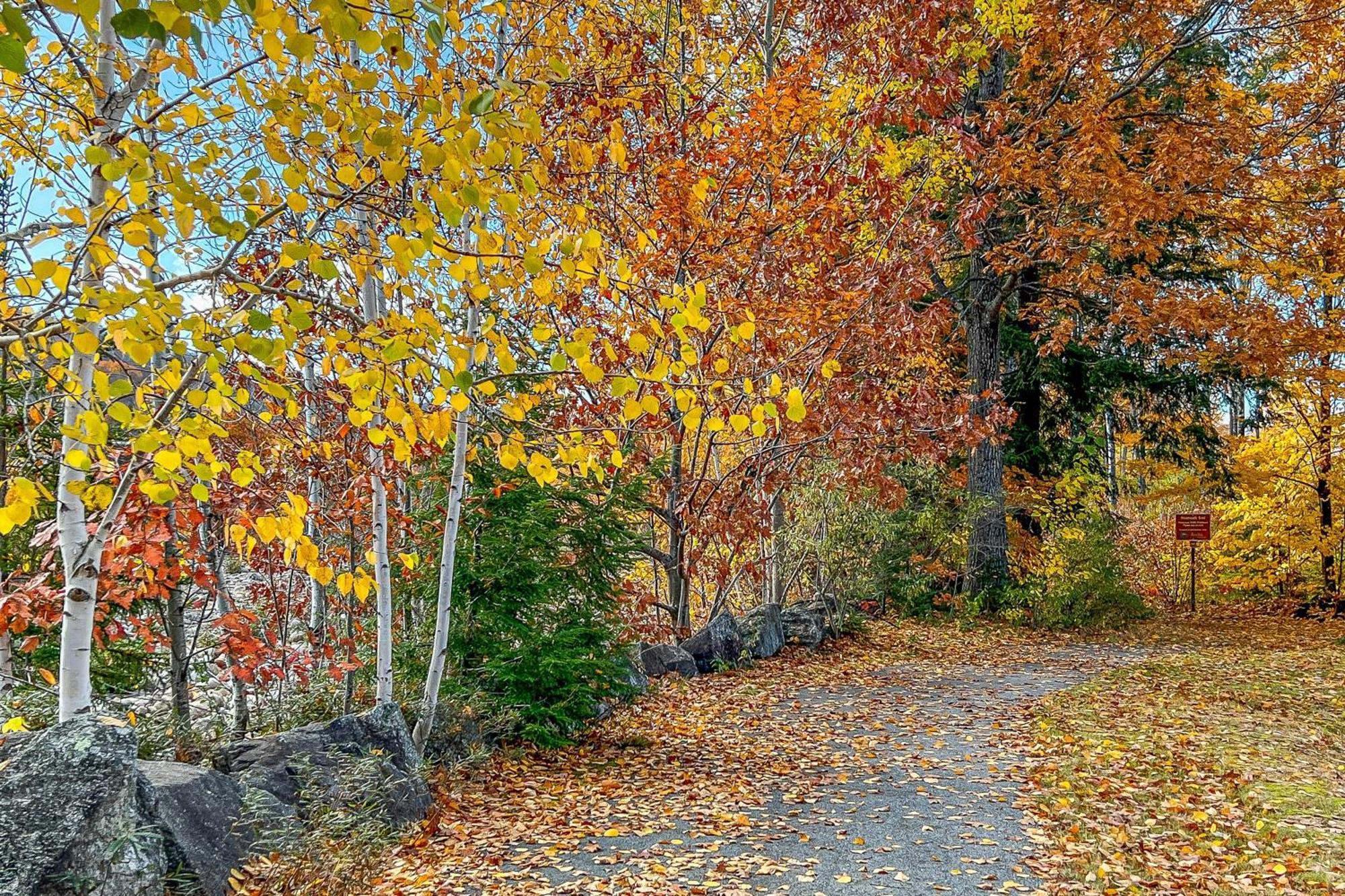 Autumn Colors Condo At Rivergreen Lincoln Exteriör bild
